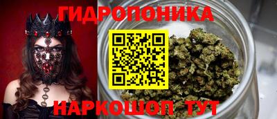 дмт Кизляр