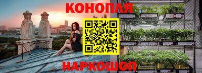 дурь Будённовск
