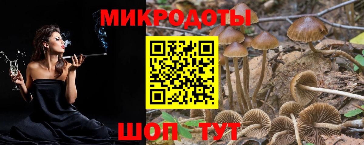 Псилоцибиновые грибы мицелий Нижнеудинск