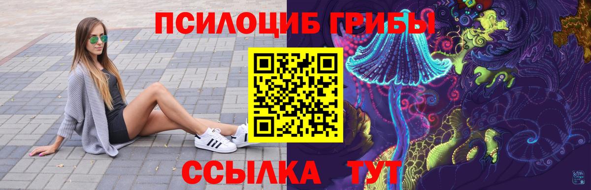 Псилоцибиновые грибы MAGIC MUSHROOMS  Вход с VPN  Нижнеудинск 